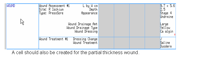 pdf-an-audit-of-the-adequacy-of-acute-wound-care-documentation-of